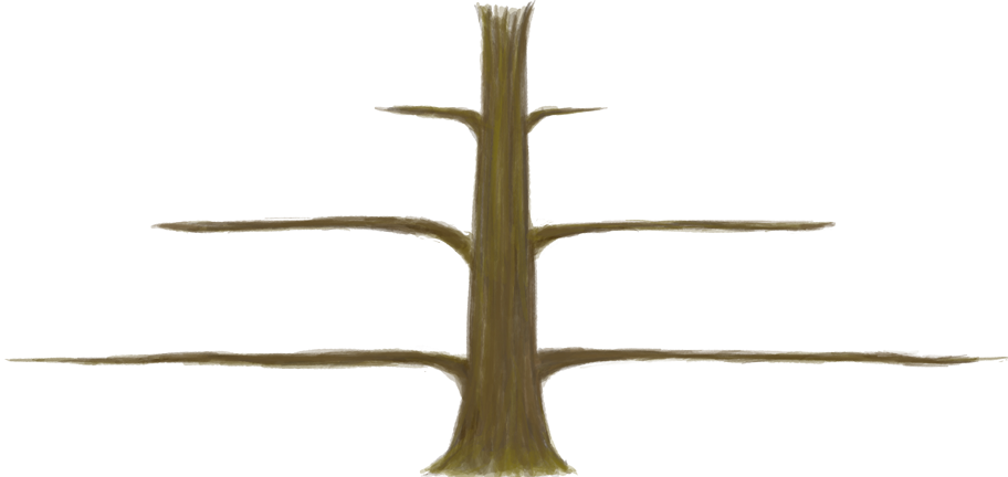 Sex ratio tree